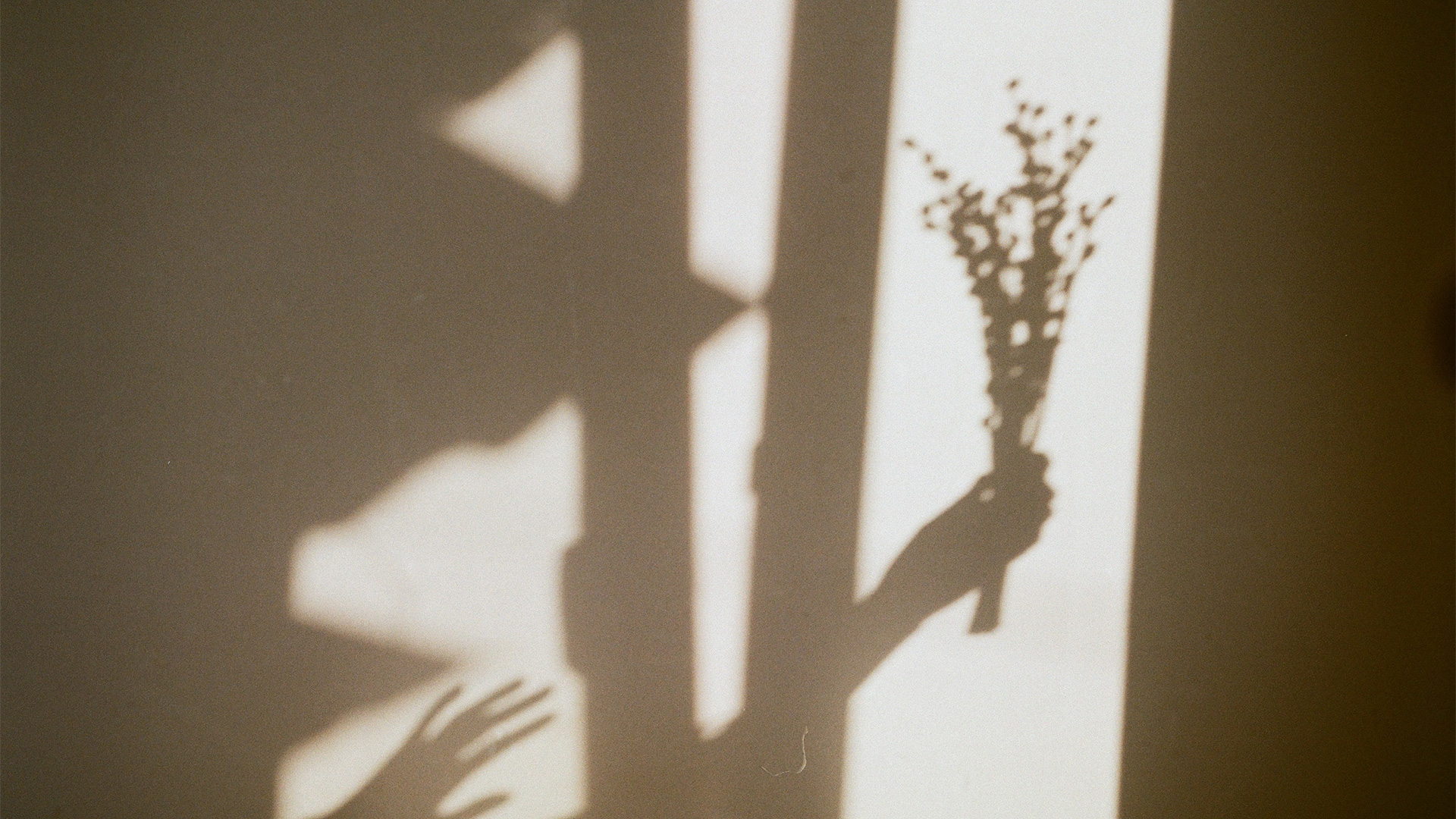 AM_0523_INTEMPORELS_HEADER